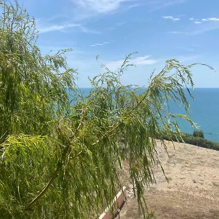 July Morning Seaside 3*