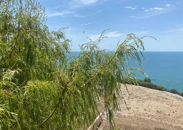 July Morning Seaside 3*