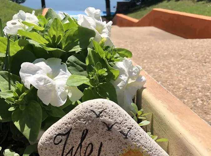 July Morning Seaside 3*